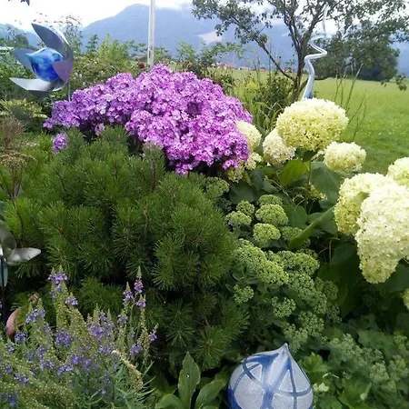 Fischerhof 农家乐 *