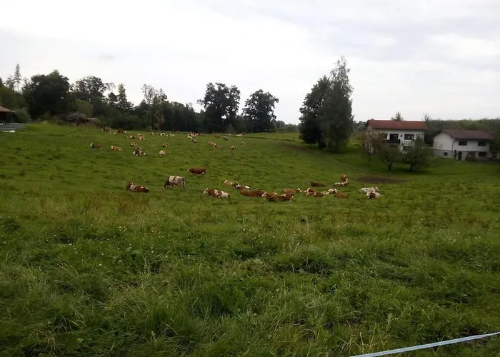 Fischerhof