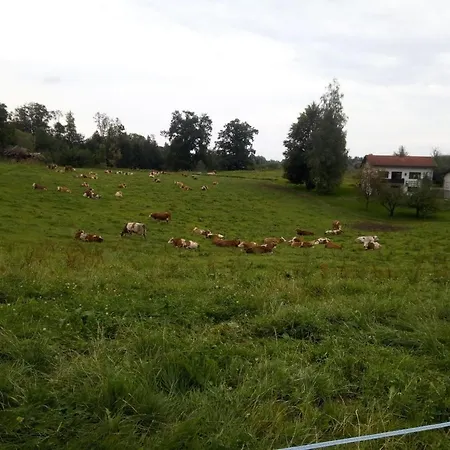 Fischerhof
